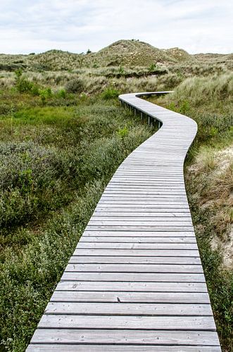 Houten plankenpad door ongerept duinlandschap