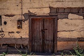 zieke van Thomas Riess