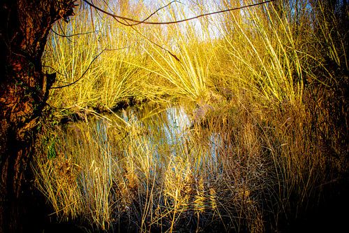 Grienden Anders 03 von Dick de Gelder