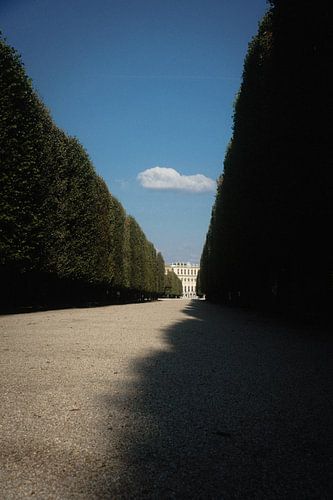 Zuleitungen zum Schloss Schönbrunn