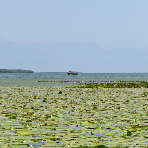 Bootje op het meer van Shkodër