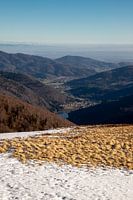 Vue du Ballon d'Alsace sur la vallée de la Sewen