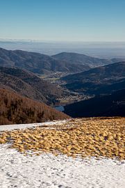 Vue du Ballon d'Alsace sur la vallée de la Sewen
