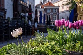 Blossom in silence by Gwendolyn Pieters