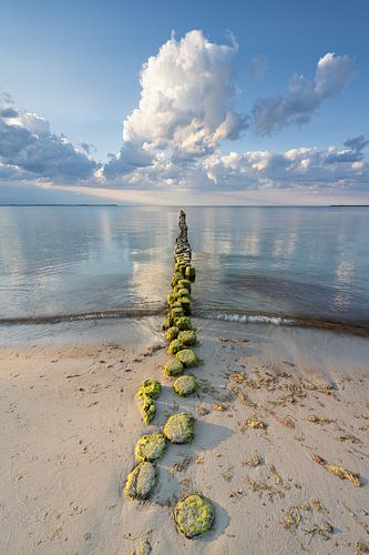 Buhne on Rügen by Michael Valjak