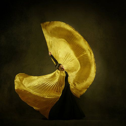 La fille & ; danse sur Moein Hasheminasab
