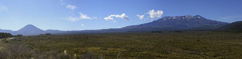 Tongariro-Nationalpark, Neuseeland von Jeroen van Deel