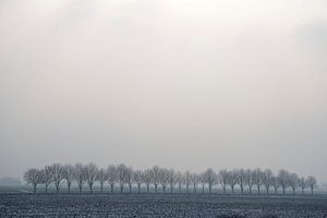 Grauw Landschap van Ronald Wilfred Jansen