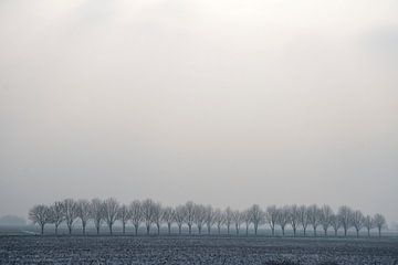 Graue Landschaft von Ronald Wilfred Jansen