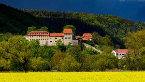 Die Creuzburg
