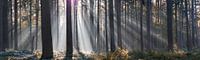 Rayons de soleil panoramiques