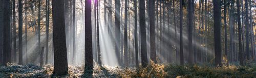 Panorama-Sonnenstrahlen