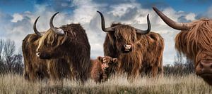 Panorama der schottischen Highlander