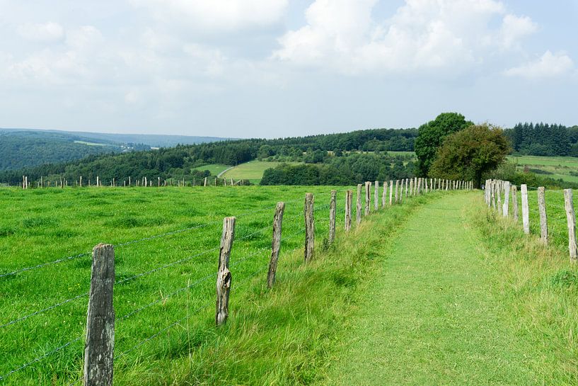Green nature  von Sofie Verbruggen