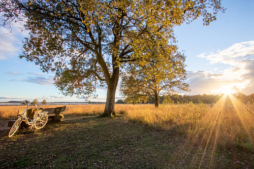 Sunset at National park Dwingelderveld the Netherlands