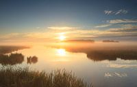 Golden sunrise! von Sander van der Werf Miniaturansicht