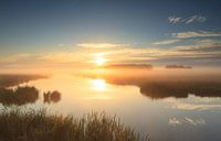 Golden sunrise!