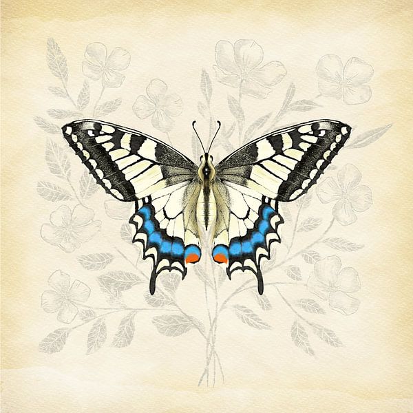Swallowtail Vintage by Teuni's Dreams of Reality