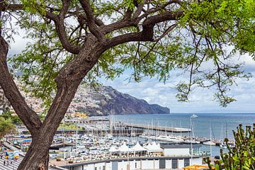 Gezicht op Funchal op het eiland Madeira, Portugal