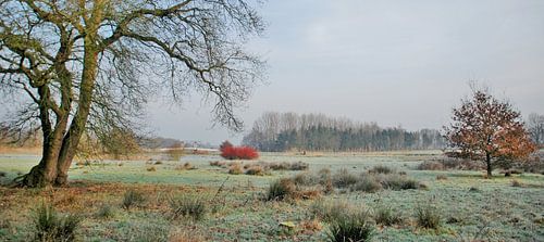 Winterland van Esther's Photos