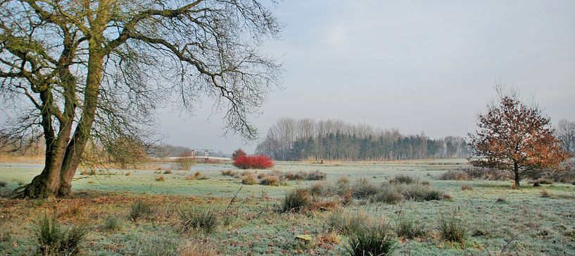 Winterland by Esther's Photos