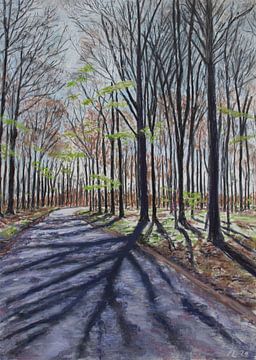 Beech forest spring by Per Laustsen