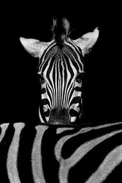 Stripes within stripes by Ken Kühlbrandt