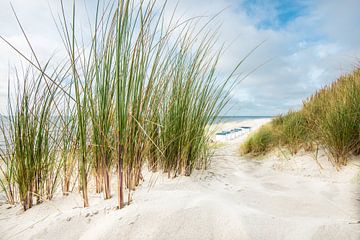 Beach scene by Hannes Cmarits