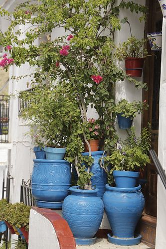 Blaue Blumentöpfe für ein Haus