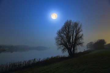 Moonlight Serenade sur Peet de Rouw