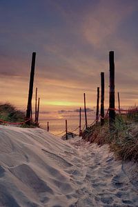 Le chemin du Texel vers le ferry des wadden