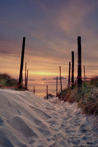 Texelpfad zur Wattenfähre von John Leeninga