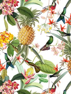 Colibris dans la jungle de fruits et de fleurs exotiques sur Floral Abstractions