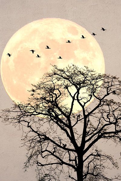 Japandi. landschap met een silhouet van een boom , met maan en vogels van Tonny Verhulst
