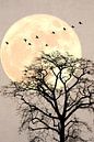 Japandi. landschap met een silhouet van een boom , met maan en vogels van Tonny Verhulst thumbnail