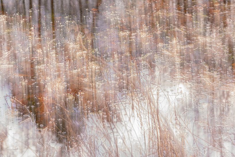 L'eau rencontre la forêt par Riëtta Veldhuis Fotografie