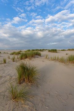 Duinen landschap. van Albert Mendelewski