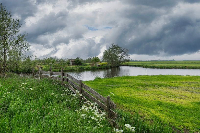 The green heart of the Netherlands by Mart Houtman