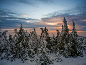 Zonsopgang op de Brocken in de Harz van t.ART
