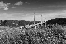 Viaduc de Millau - Frankrijk van Frank Herrmann