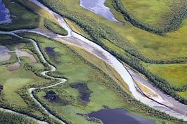Rapadalen im Sarek Nationalpark in Schweden von Karina Gebert