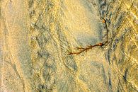 Sand, Strömung und Seetang von Sia Windig Miniaturansicht