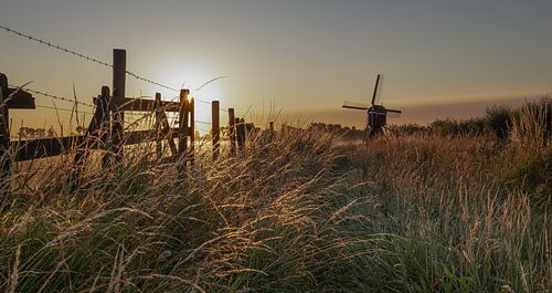 Lever de soleil doré