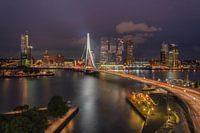 Tranquility in Rotterdam
