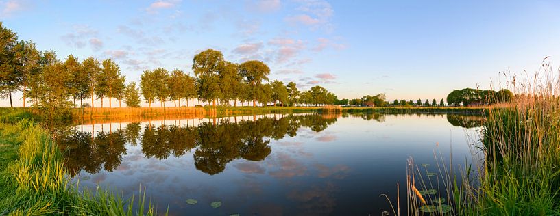 Vroege ochtend zonlicht over de Kleine Bouwkolk aan de Zwartendijk bij Kampen van Sjoerd van der Wal Fotografie