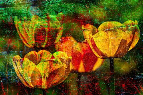 Tulipes abstraites sur Dieter Walther