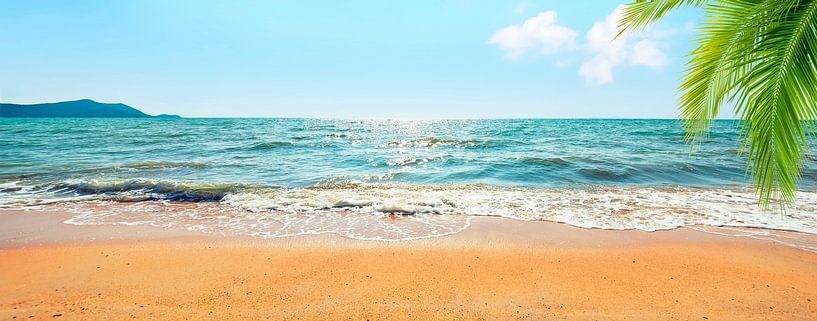 Ile des mers du sud par Manjik Pictures