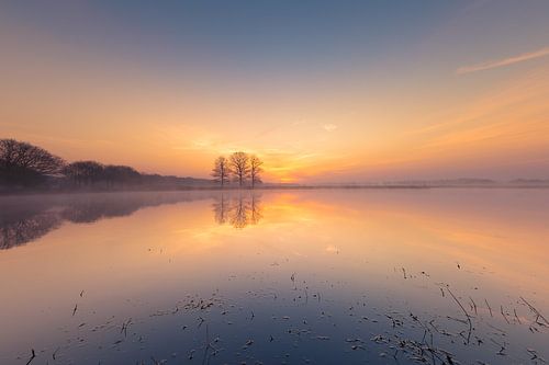 Mistige zonsopkomst achter drie bomen boven het water