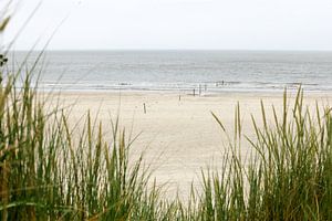 Dünen, Strand und Meer auf der niederländischen Watteninsel Ameland, in der Nähe von Hollum. von Ans van Heck