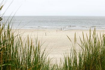 Dunes, beach and sea on the Dutch Wadden island of Ameland, near Hollum.